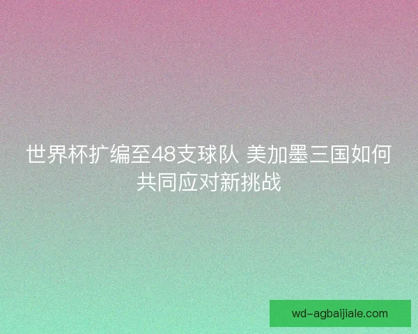 世界杯扩编至48支球队 美加墨三国如何共同应对新挑战